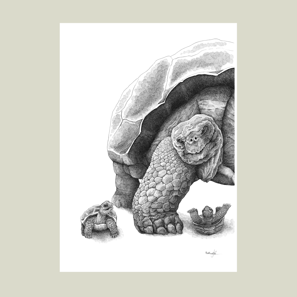 Plakat med skildpadder – Du er så stor og stærk, far