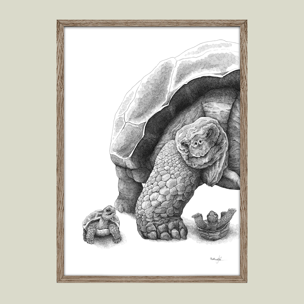 Plakat med skildpadder – Du er så stor og stærk, far