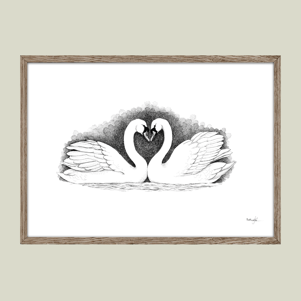 Håndtegnet sort-hvid plakat med to svaner, der danner hjerte – symbol på kærlighed og troskab.