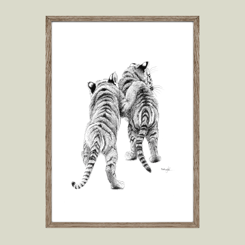 Håndtegnet sort-hvid plakat med tigerunger – detaljeret tuschtegning af to tigerunger set bagfra.