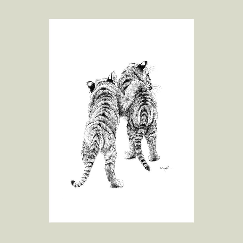 Håndtegnet sort-hvid plakat med tigerunger – detaljeret tuschtegning af to tigerunger set bagfra.