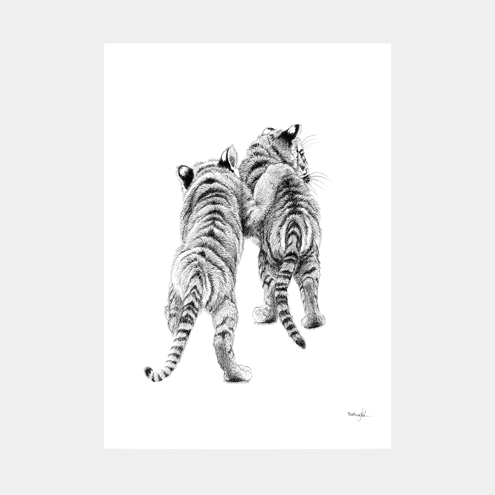 Håndtegnet plakat med tigerunger. Tegnet i hånden af Bettina Lehmann.
