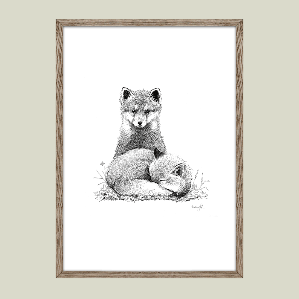 Håndtegnet plakat med to ræve i fredelig harmoni – naturmotiv fra serien I haven og skoven | Draw Doodles Study