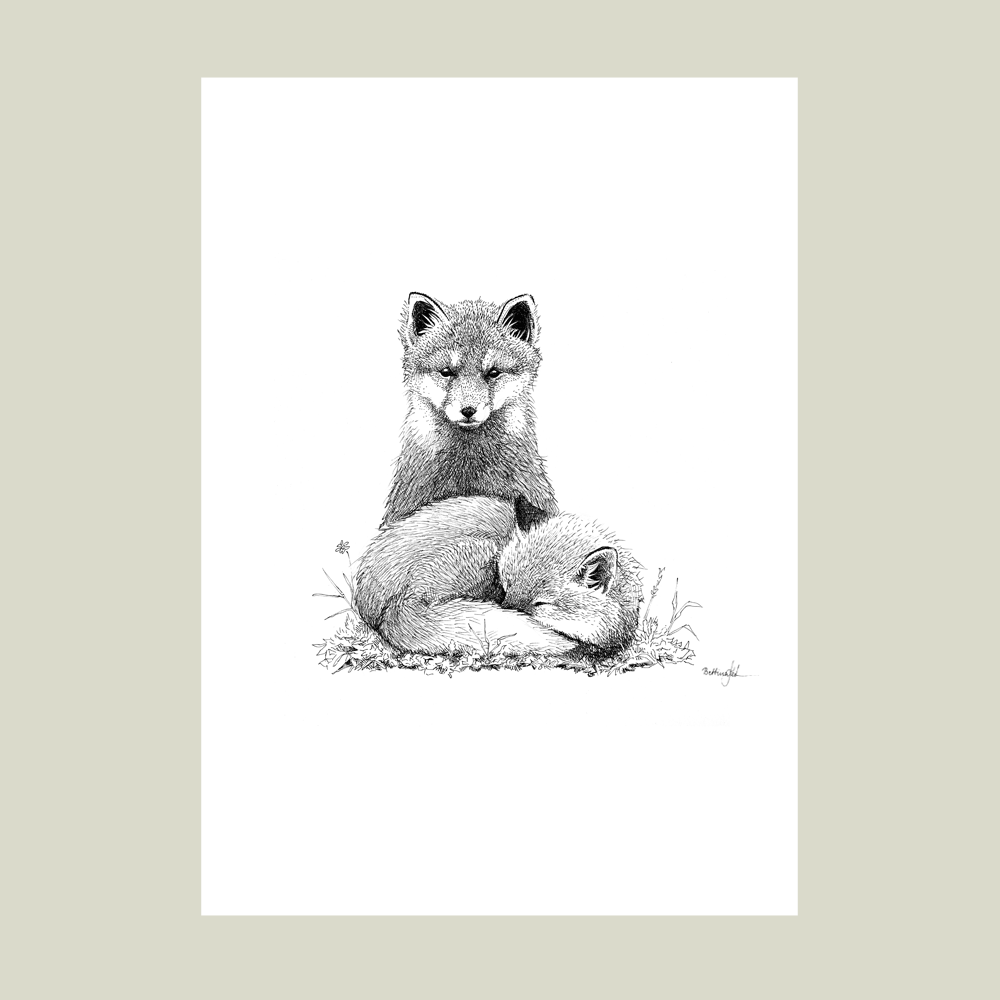 Håndtegnet plakat med to ræve i fredelig harmoni – naturmotiv fra serien I haven og skoven | Draw Doodles Study