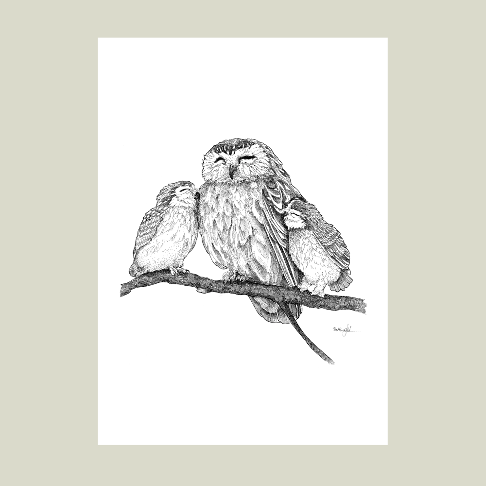 Håndtegnet plakat med tre ugler på gren – naturmotiv fra serien I haven og skoven | Draw Doodles Study