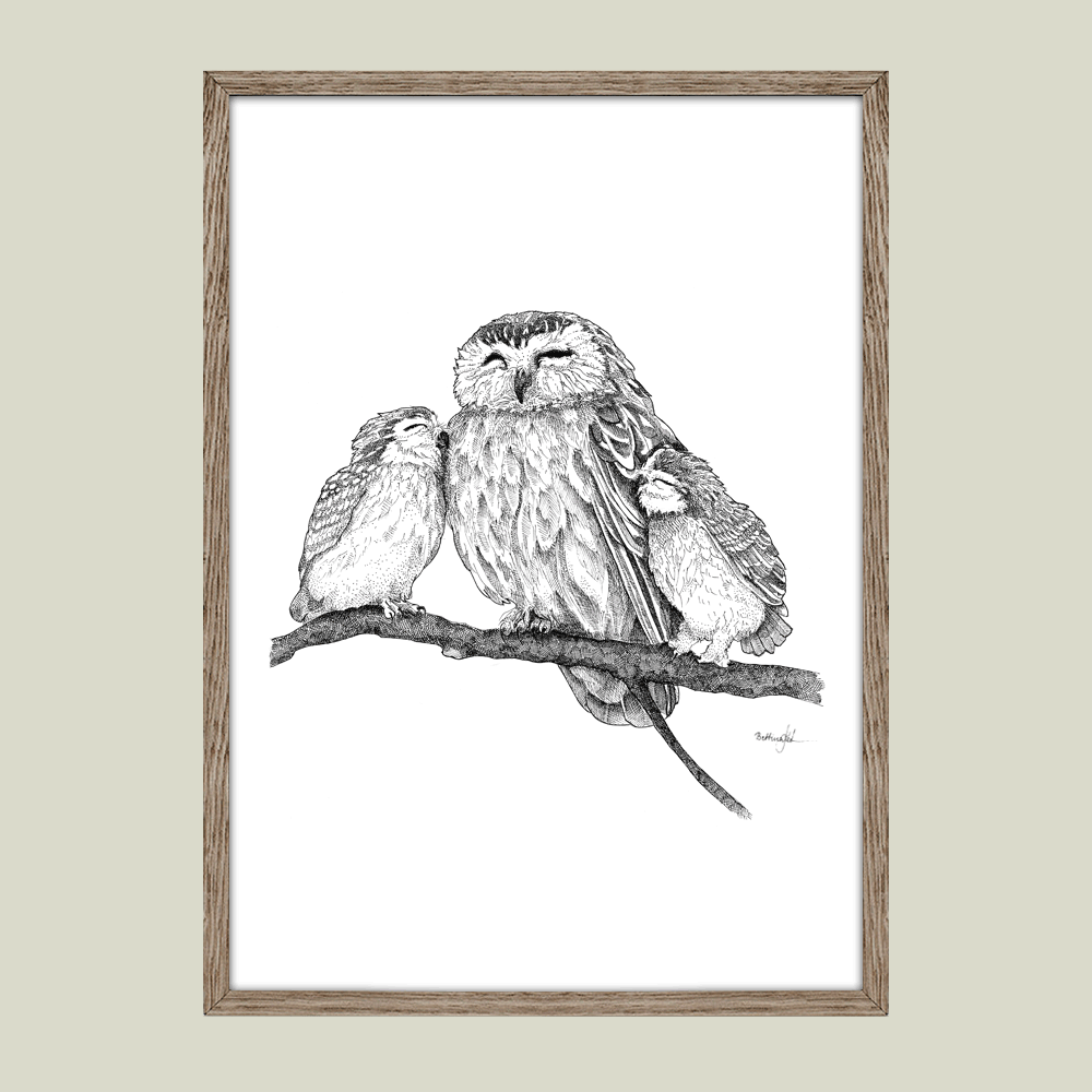 Håndtegnet plakat med tre ugler på gren – naturmotiv fra serien I haven og skoven | Draw Doodles Study