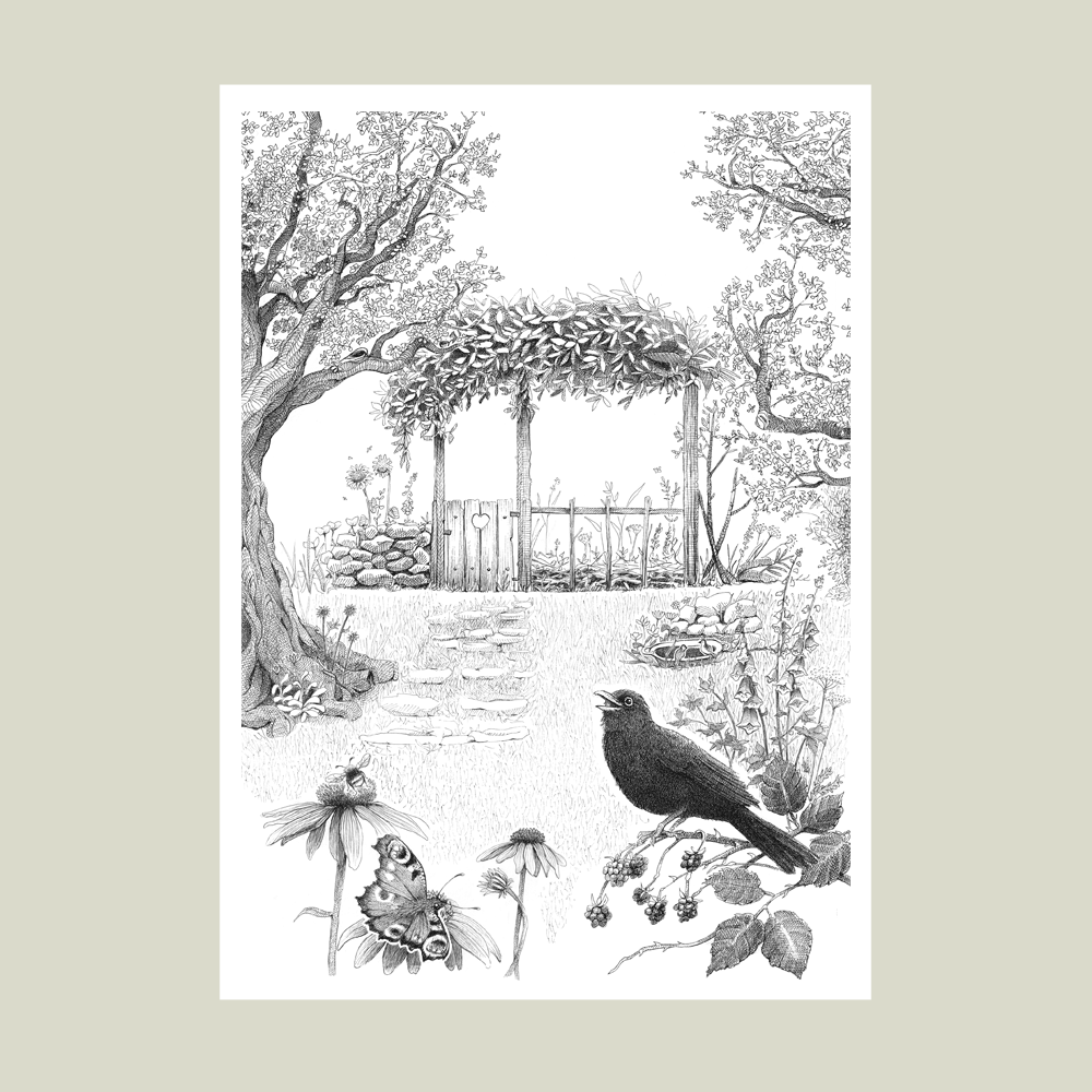 Håndtegnet plakat af vild have med fugl, sommerfugl og planter – naturmotiv fra serien I haven og skoven