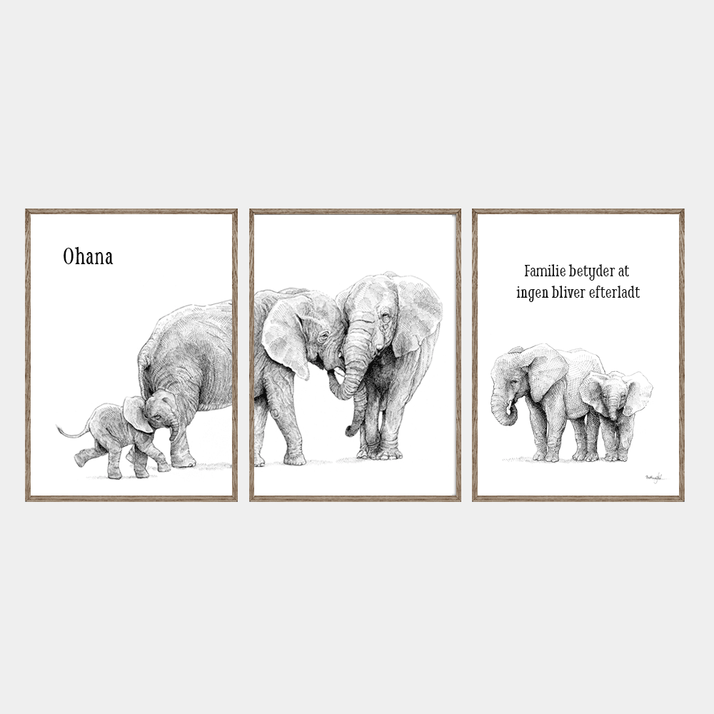 Plakatsæt med to elefant og tre unger, citat 'Ohana - Familie betyder at ingen bliver efterladt',  egetræsrammer