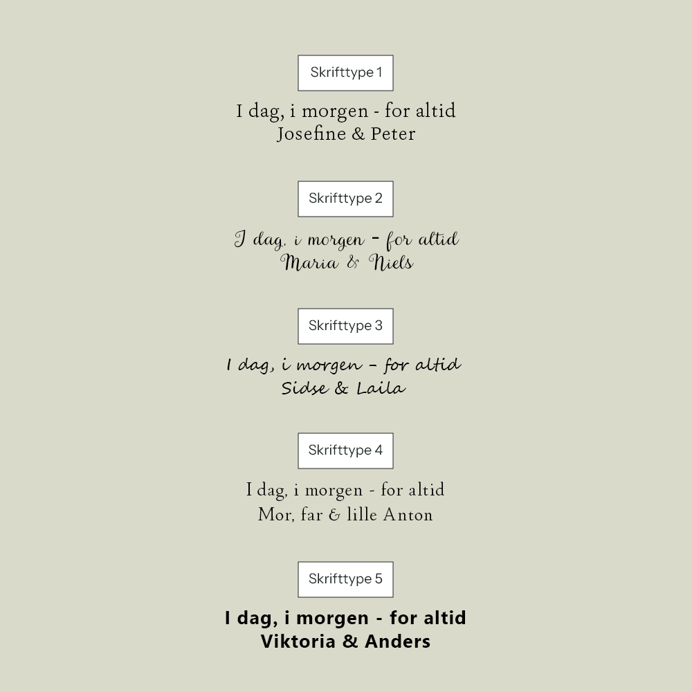 Plakat med galapagosskildpadder – Special edition