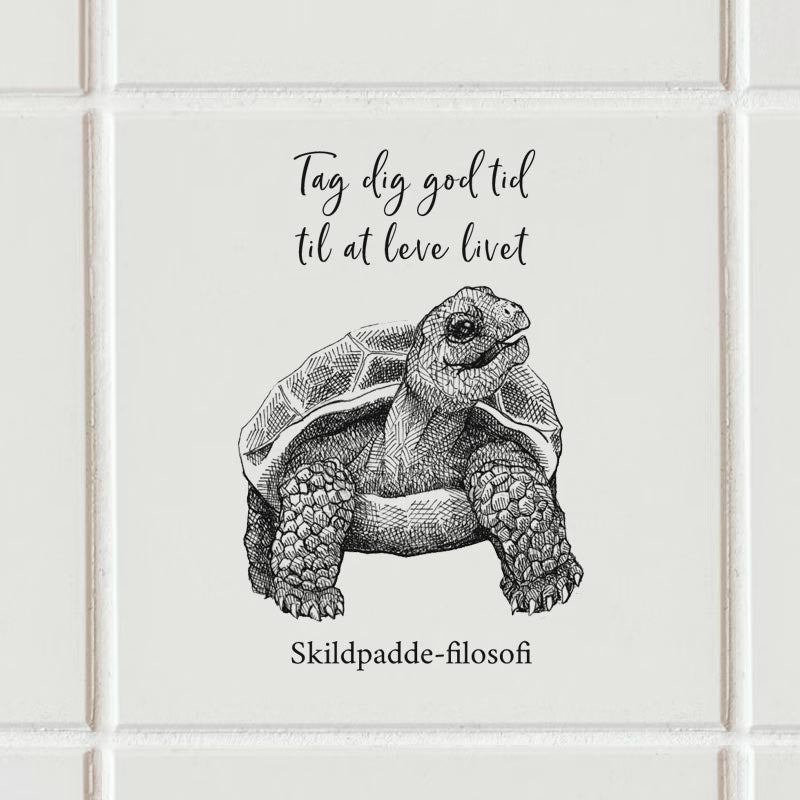 Sticker - Skildpaddefilosofi