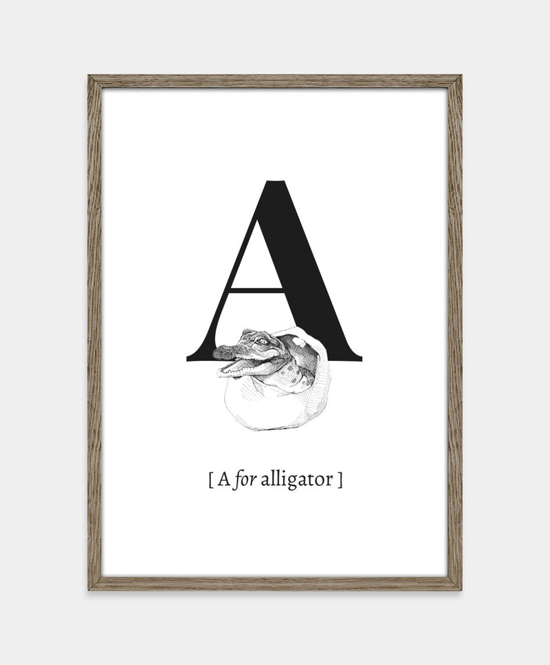 Bogstavplakat - A for alligator
