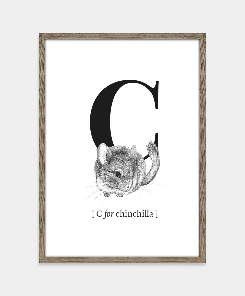 Bogstavplakat - C for chinchilla