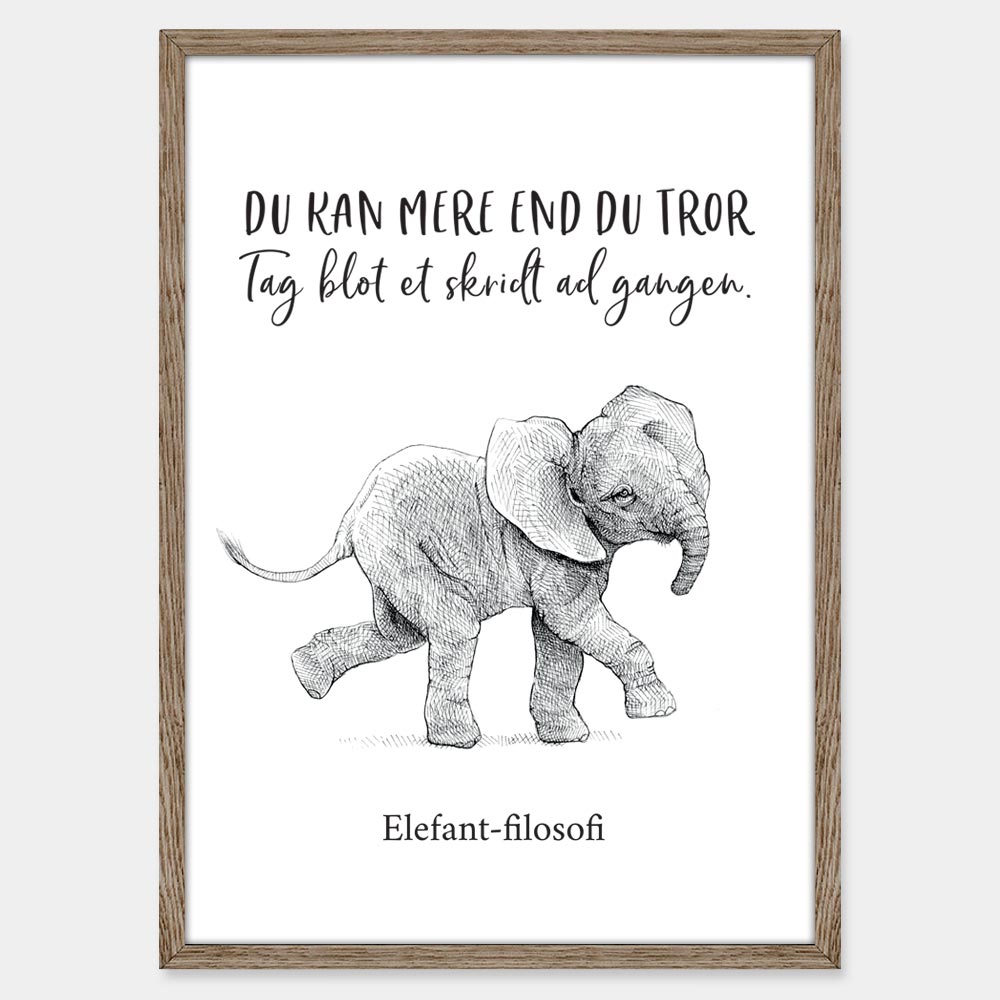 Elefant-filosofi