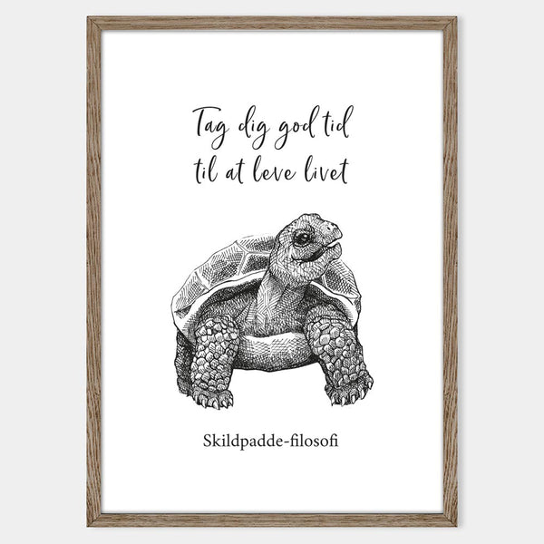 skildpadde-filosofi