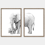 Elefantmor og unge. Plakat fra Draw Doodles Study