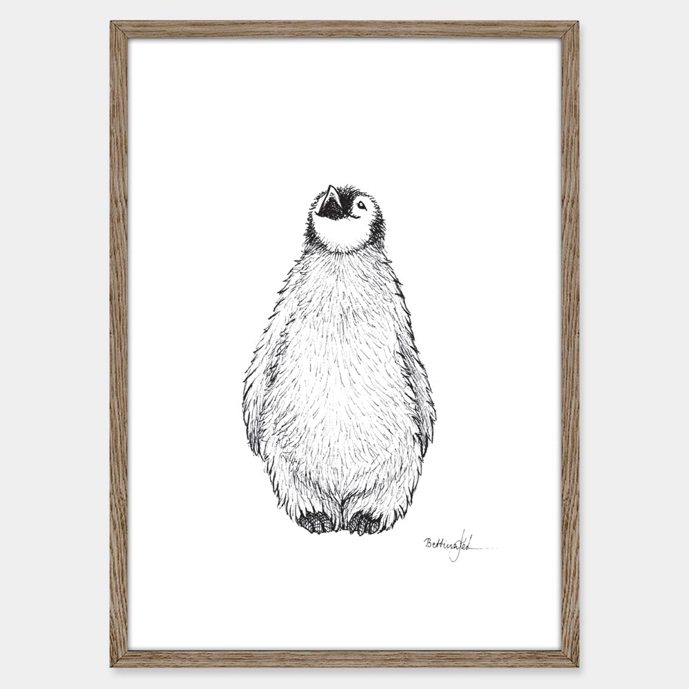 Plakat med pingvinunge