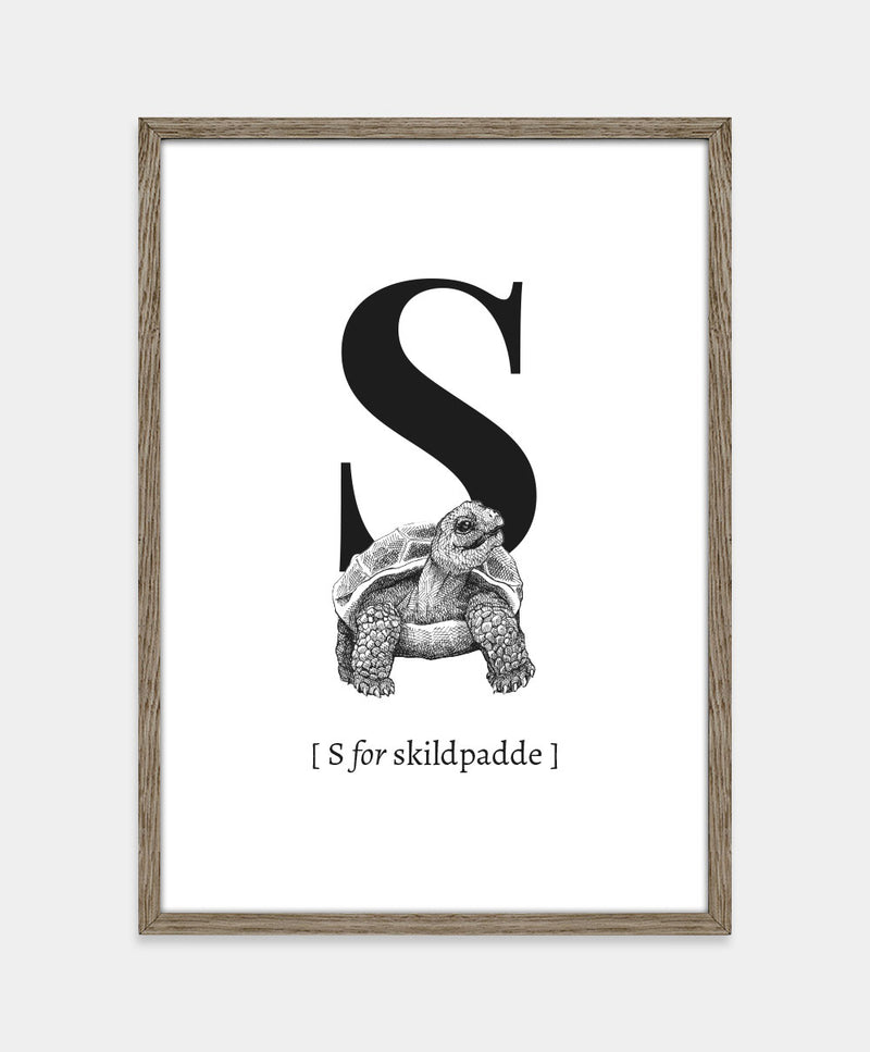 Bogstavplakat - S for skildpadde