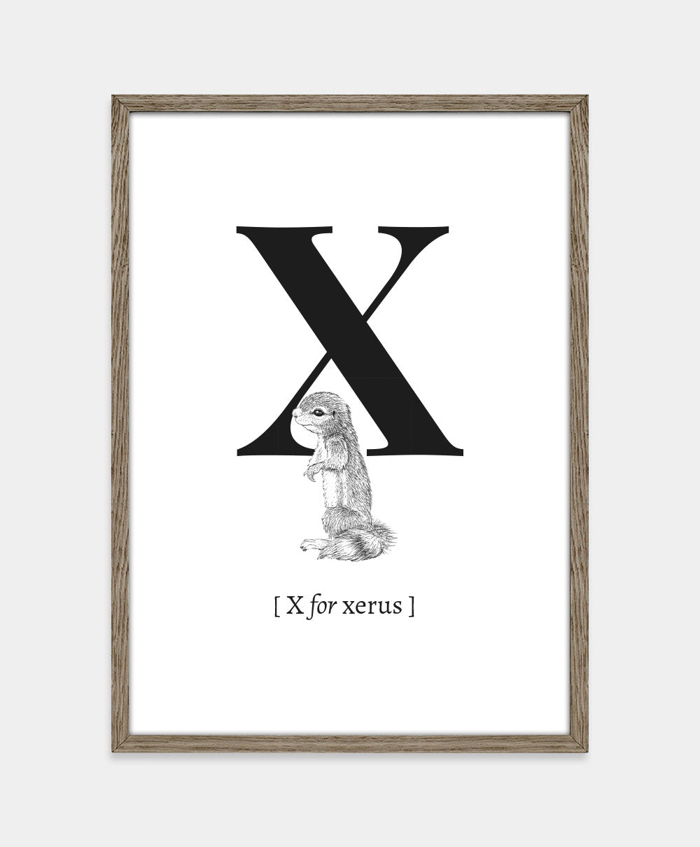 Bogstavplakat - X for xerus