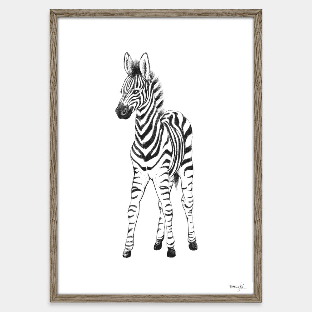 Plakat med zebraunge