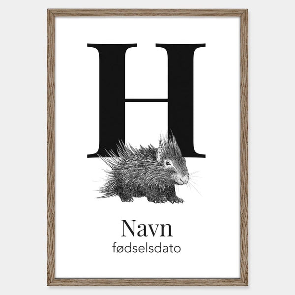Navneplakat med hulepindsvin