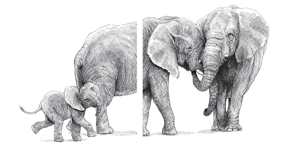 Stickersæt - Elefantfamilie