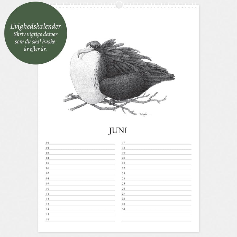 Evighedskalender GALAPAGOS
