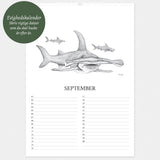 Evighedskalender GALAPAGOS
