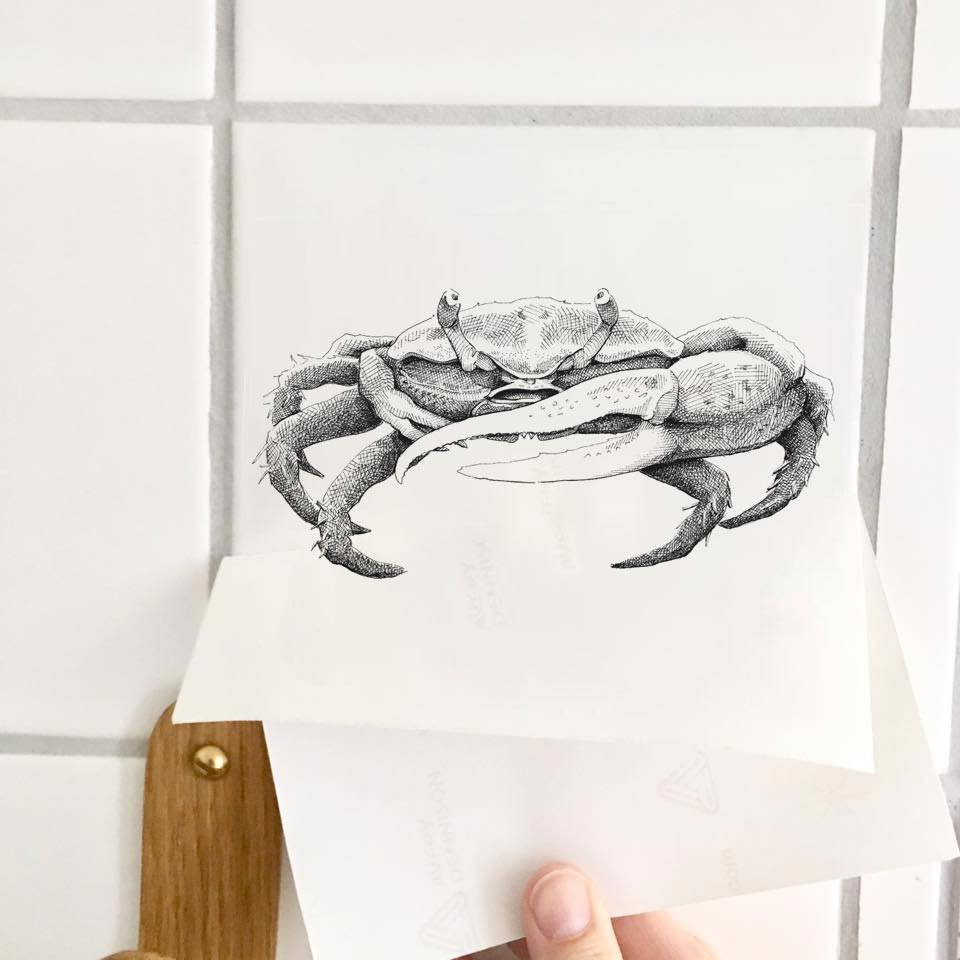 Sticker - Krabbe
