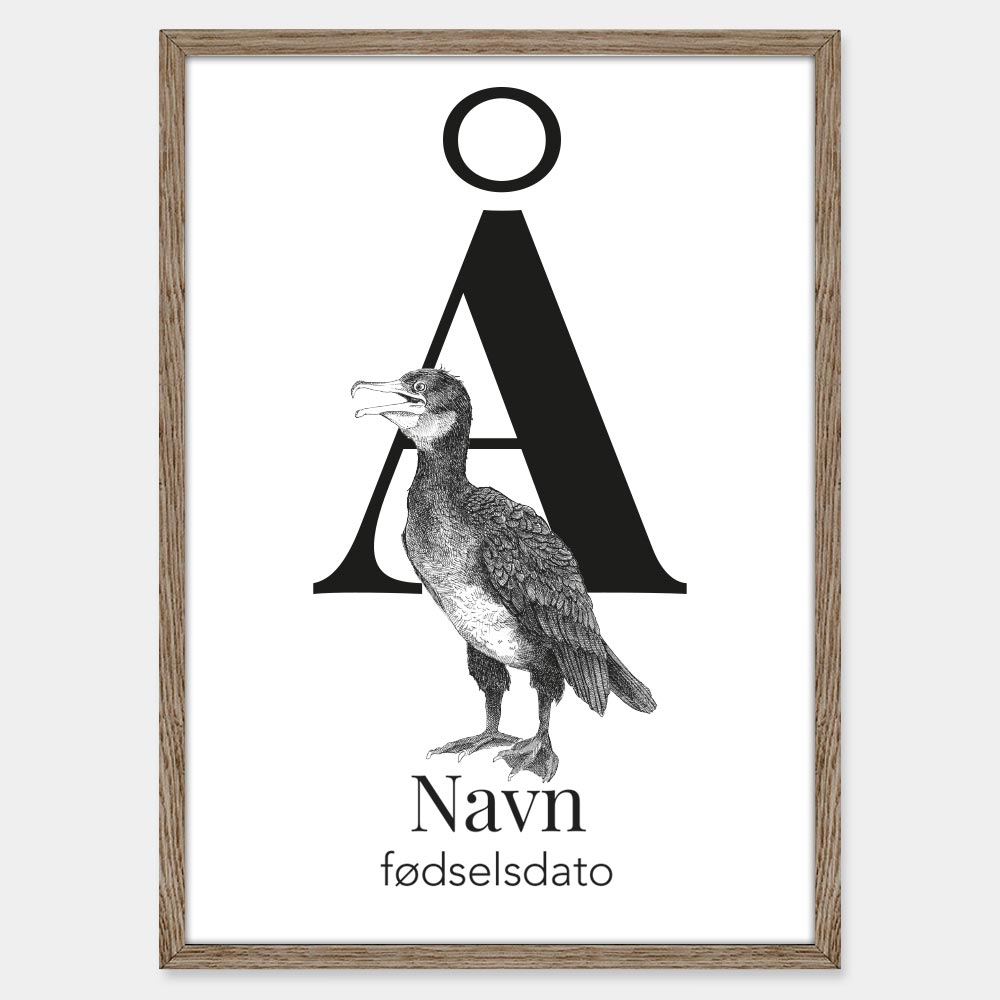 Navneplakat med bogstav Å og ålekrage – illustration med bogstav og dyr til børneværelset