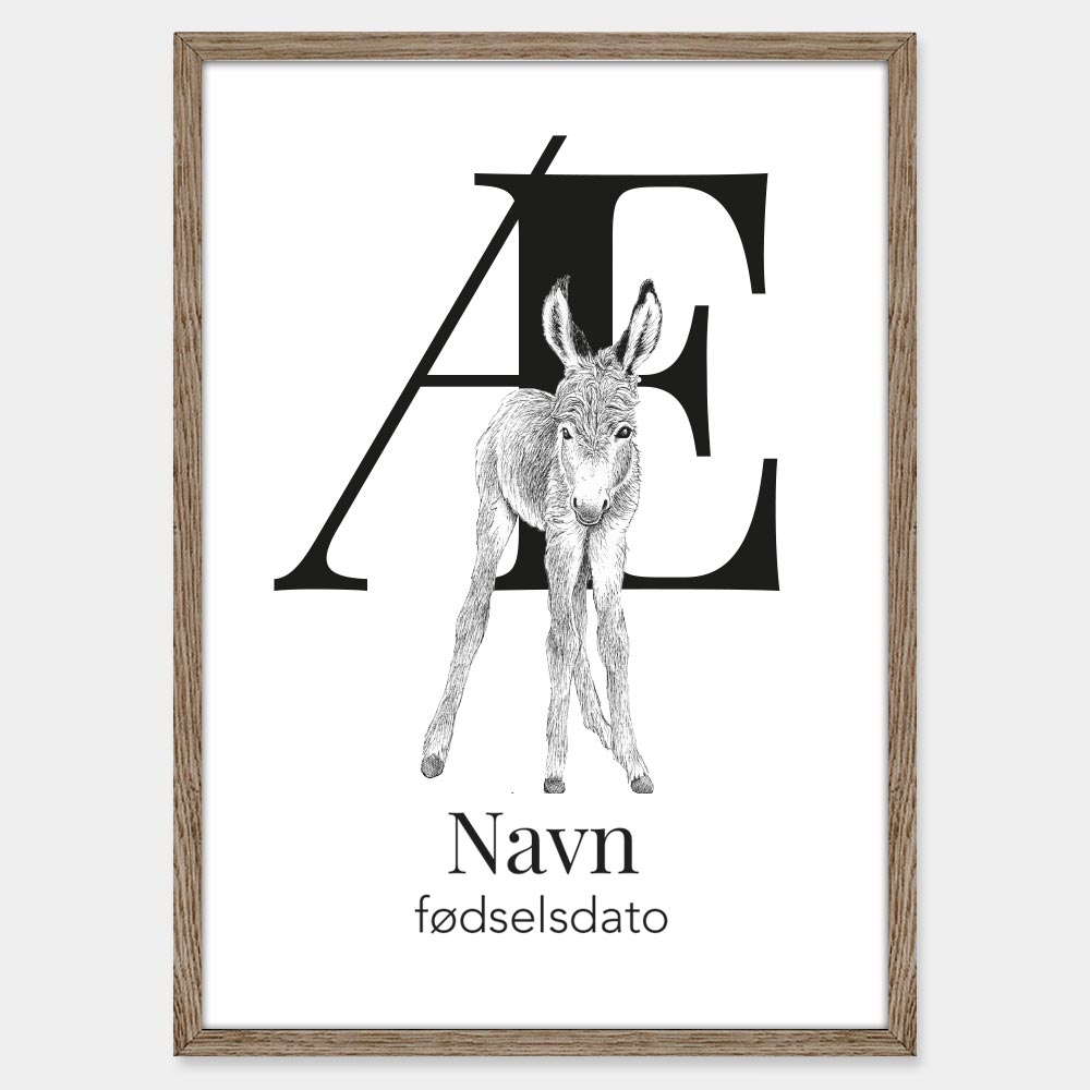Navneplakat med bogstav Æ og æsel – illustration med bogstav og dyr til børneværelset