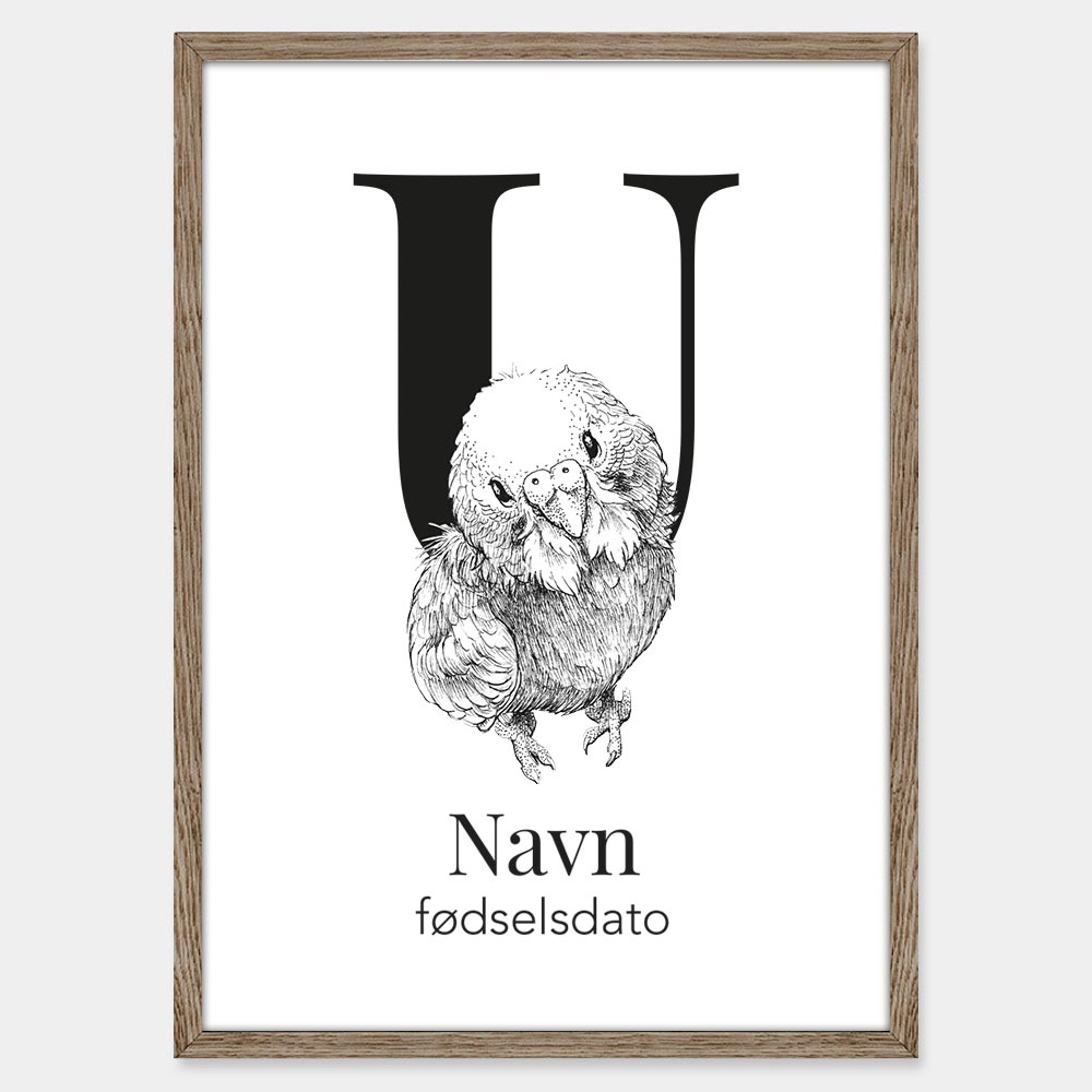 Navneplakat med bogstav U og undulat – illustration med bogstav og dyr til børneværelset