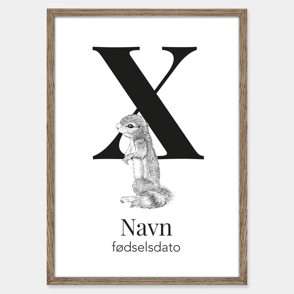 Navneplakat med bogstav X og Xerus – illustration med bogstav og dyr til børneværelset