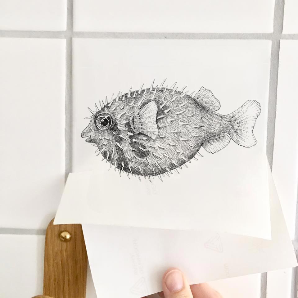 Sticker - Pindsvinfisk